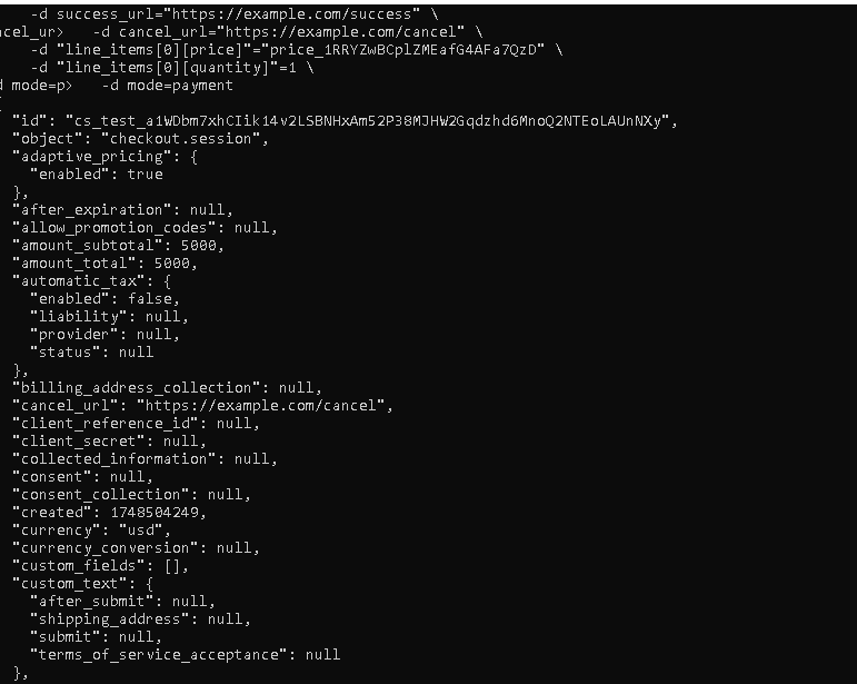 Stripe checkout session terminal output